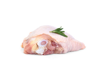 Raw chicken thigh with rosemary isolated on white background.