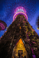 Lights in Gardens by the Bay in Singapore. - obrazy, fototapety, plakaty