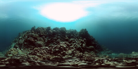 Fototapeta na wymiar Underwater world life with hard coral reefs and fish. 360-Degree view.