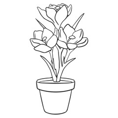 Flower Plant Drawing