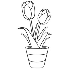 Tulip Flowers Coloring