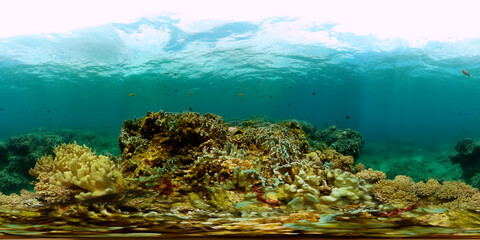 Coral reef and fish underwater. Marine protected area. Monoscopic image.