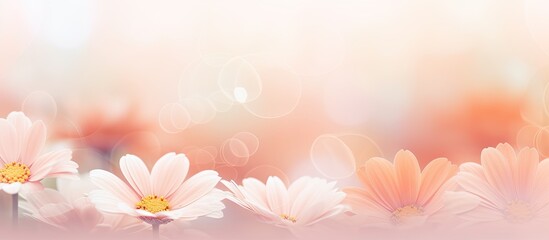 Vibrant Pink Flowers Blooming in a Serene Garden - Floral Wallpapers Collection