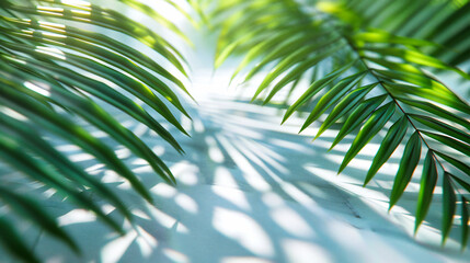 Obraz premium Green Canopys Whisper, Sunlit Leaves of Summer, The Lush Life of Tropic Flora