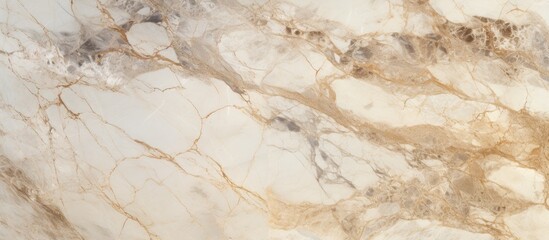 Elegantly Designed Marble Floor with Intricate Marble Pattern in Luxurious Setting