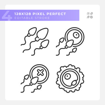 Fertility linear icons set. Ovul insemination, sperm egg infertility. Human fecundacion, reproduction system. Customizable thin line symbols. Isolated vector outline illustrations. Editable stroke
