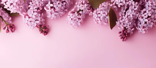 Schilderijen op glas Delicate Pink and Lilac Flowers Blooming on Soft Pink Background © Ilgun