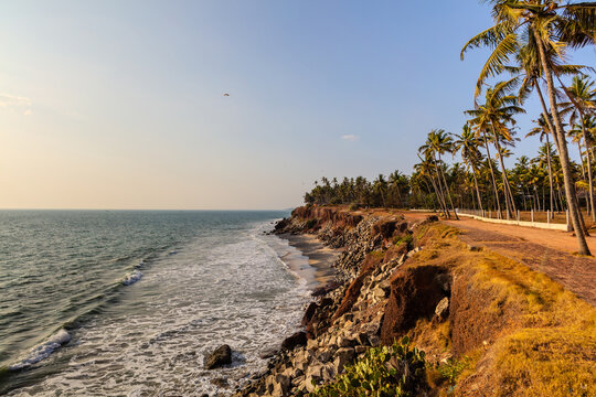 Tropical coast, wild beach, cliff with palm trees in Varkala, Kerala, India.