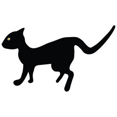 black cat illustration