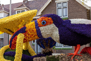 Parrot made of tulips and hyacinths presented before the evening illuminated Flower Parade Bollenstreek in Noordwijkerhout