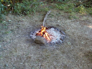 campfire in the forest