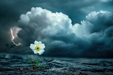 A dramatic storm cloud background with a single resilient flower in the foreground - obrazy, fototapety, plakaty