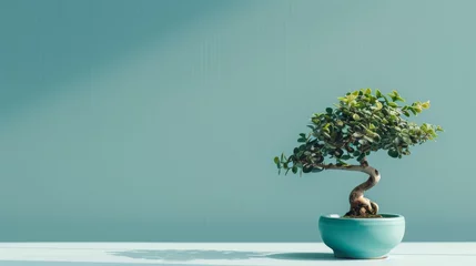 Tuinposter A small bonsai tree elegantly rests inside a blue bowl on a wooden table © zainab