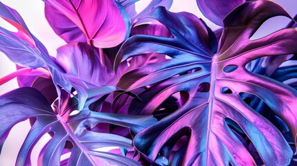 A dynamic close-up of tropical leaves drenched in vibrant purple and pink, portraying exoticism and fantasy - obrazy, fototapety, plakaty