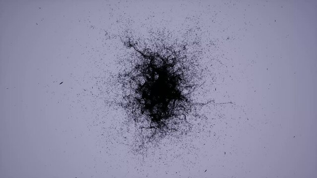 Bacteria spread virus curse plague 2/4