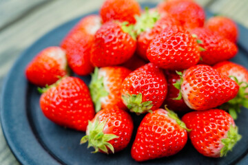 イチゴ　strawberry