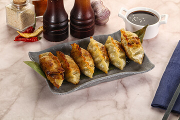Fried Japanese stuffed dumplings - Gyoza
