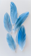 Serene Blue Feathers Arrangement