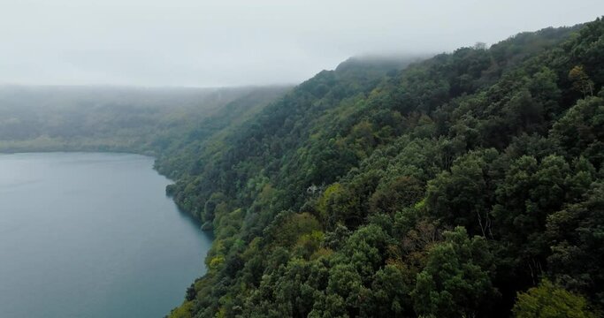 Aerial background video of the urban forest on the shore of the lake. High quality 4k footage