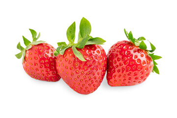 Three cultivated fresh raw strawberries of bright red colour, sweet flavour and aroma, juicy texture with green leaves isolated on white background used as healthy sweet dessert or antioxidant snack