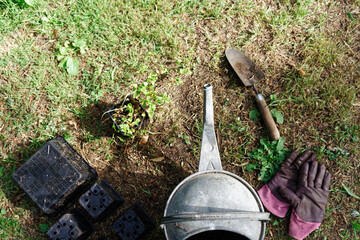 Garden planting tools, watering can, trowel, gloves, pots