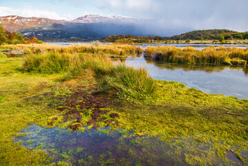 Fototapeta na wymiar Tierra del Fuego National Park, Patagonia, Argentina
