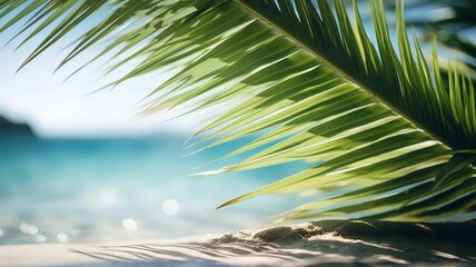 Palm leaf on the beach with water in the background

