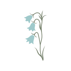 Vector color hand-drawn illustration with spring blue bell flower. SVG cut file for Cricut. Collection of minimalist wildflowers. 