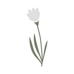 Vector color hand-drawn illustration with spring white snowdrop flower. SVG cut file for Cricut. Collection of minimalist wildflowers. 