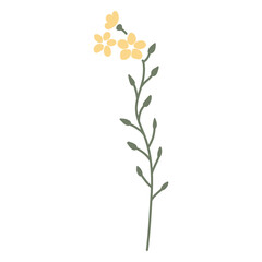 Vector color hand-drawn illustration with spring yellow flower. SVG cut file for Cricut. Collection of minimalist wildflowers. 
