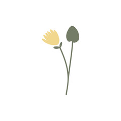 Vector color hand-drawn illustration with spring yellow flower. SVG cut file for Cricut. Collection of minimalist wildflowers. 