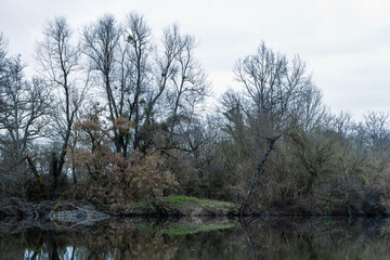 Rives de la rivière l’Allier en hiver, Les Moussouves, Limons (63290), Puy-de-Dôme, Auvergne-Rhône-Alpes, France