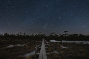 Night scene, landscape astrophoto at Seli swamp, wooden path for travelers on foot and starry sky.