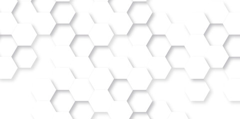 Abstract background with hexagon, modern abstract vector polygonal pattern. Futuristic abstract honeycomb technology white background. Luxury white hexagon pattern.