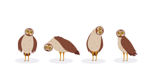 Set of cute funny owl with tilted leaned head. Vector illustration of cartoon forest night birds.