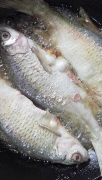 whole vobla fish frying in a cast iron skillet with oil at domestic kitchen.