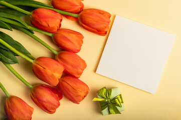 A bouquet of red tulips on a yellow background and a yellow gift box and a blank card. Concept for congratulations on Women's Day, Mother's Day, Birthday and Valentine's Day.