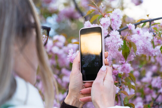 Close-up of woman taking photo of sakura flowers with mobile phone