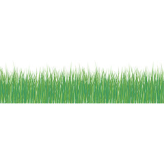 green grass, Green grass silhouette. Cartoon lines of plants and shrubs for boarding and framing, eco and organic logo element.