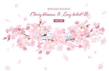 桜とエナガ２羽の装飾フレーム。水彩イラスト。（ベクター。レイアウト変更可能）