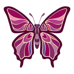 Colorful tropical butterfly vector illustration.