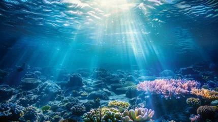 Zelfklevend Fotobehang coral reef and diver © ahtesham