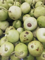 close up of apples