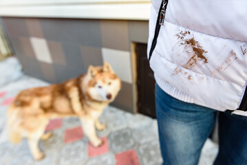 Dirty dog paw stain on white jacket.