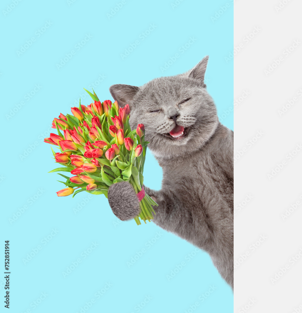 Poster laughing cat with a bouquet of tulips behind a white and blank banner. isolated on blue background