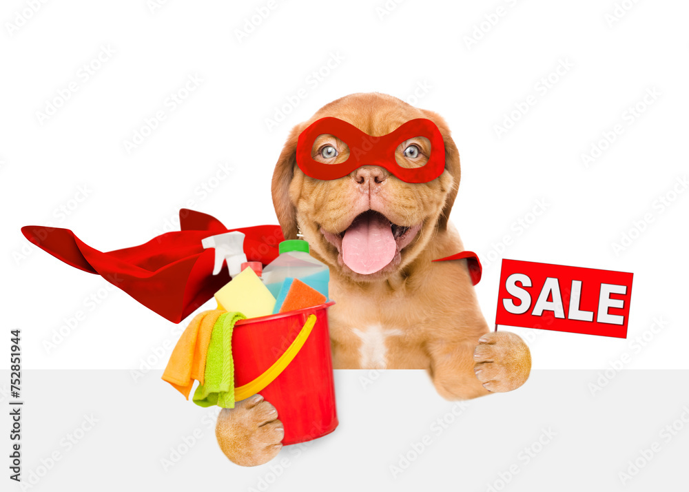 Poster funny mastiff puppy wearing superhero costume holds bucket with washing fluids and showing signboard