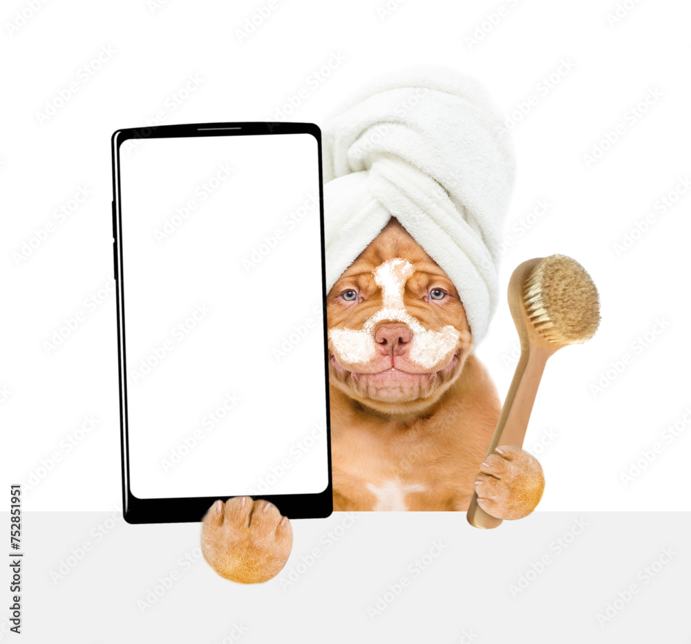 Aufkleber Smiling Mastiff puppy with towel on it head, with cream on it face holds rubber duck and big smartphone with white blank screen in it paw. isolated on white background
