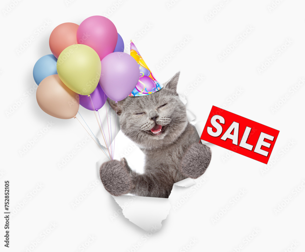 Poster happy cat wearing party cap holding balloons and looking through the hole in white paper and showing