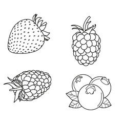 Simple set of berries fruit, strawberry, raspberry, blueberry, and blackberry. Vector illustration design template. Isolated on a white background.