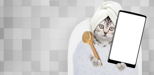 Cute kitten with towel on it head takes the bath with foam at home and shows big smartphone with...